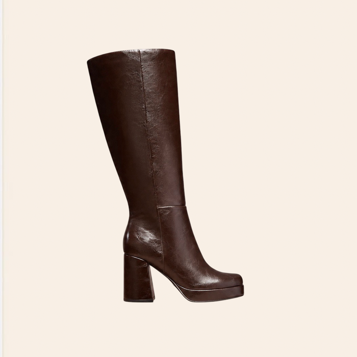 Lili — Bottes Hautes à Plateforme Noires Marrons